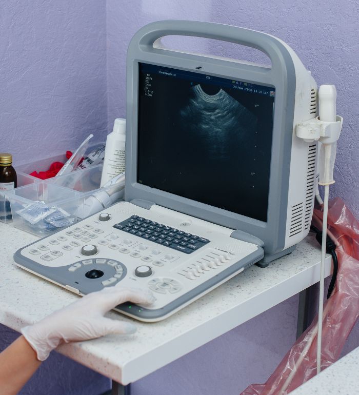 In a modern veterinary clinic, an ultrasound of a purebred chihuahua is performed on the table. veterinary clinic